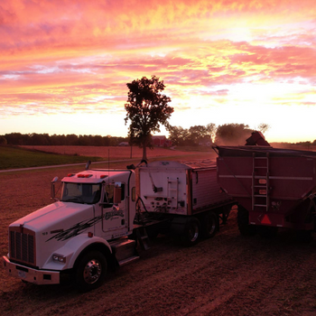 Sunset over field