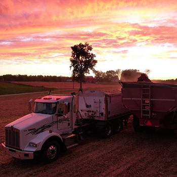 Sunset over field 