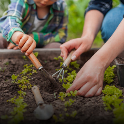 Lawn & Garden SuppliesFamily gardening