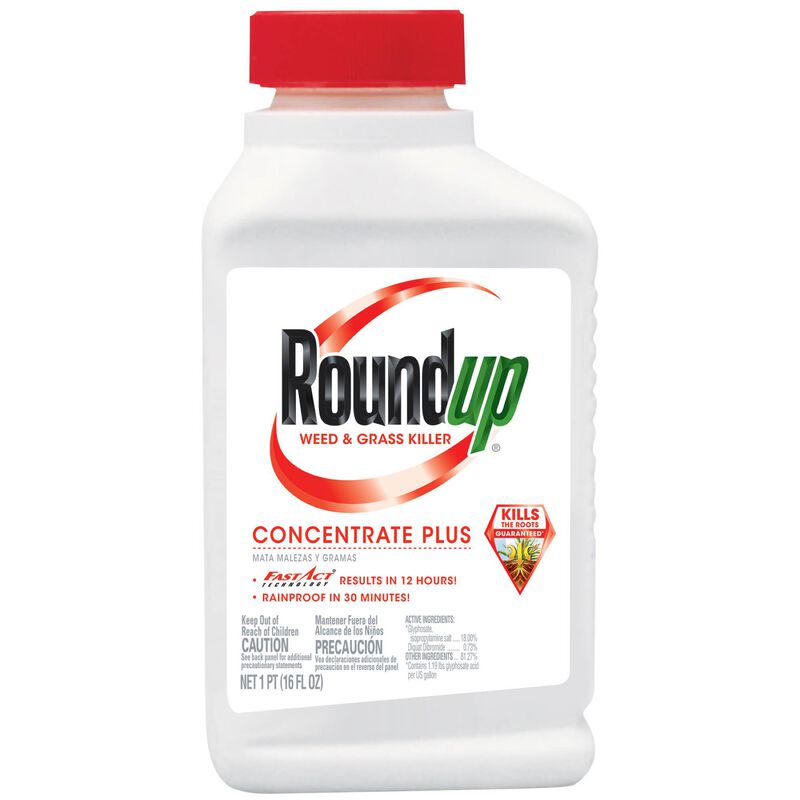 roundup herbicide mixing instructions Roundup® Weed & Grass Killer₄ Concentrate