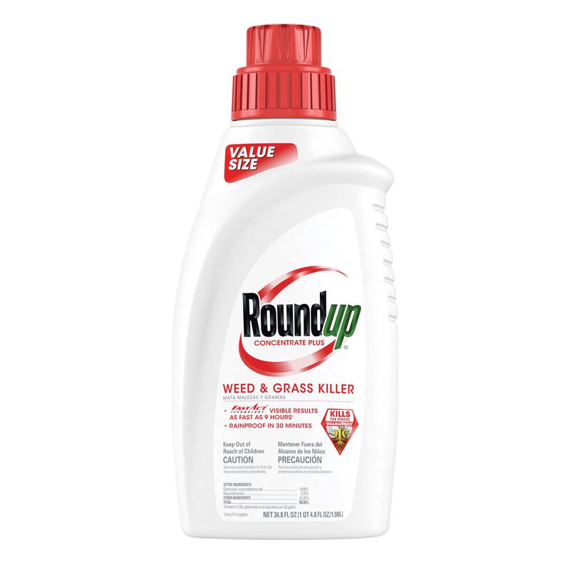 basta herbicide vs roundup Roundup® Weed & Grass Killer₄ Concentrate - Brookville, OH - West  Alexandria, OH - Eaton, OH - Farmersville, OH - Hamilton, OH