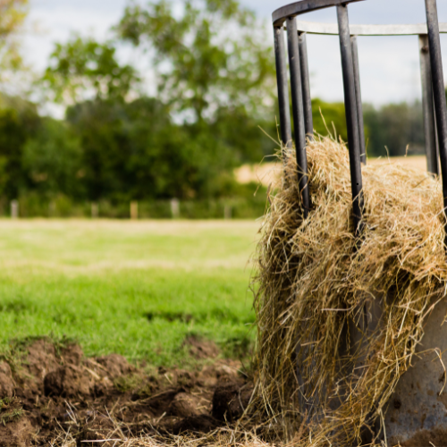 Feeder & Waterer Supplies