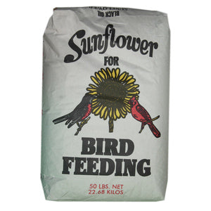 Black Oil Sunflower Seeds