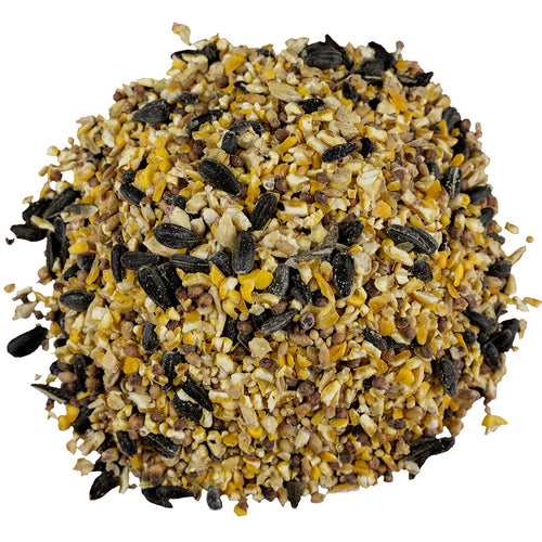 Bird Pro Everyday Economy with Corn Bird Seed