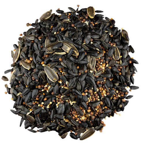 Bird Pro Premium Wild Bird without Corn Bird Seed