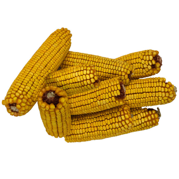Bird Pro Ear Corn