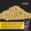 Kalmbach Fancy & Feathered® Feed for Show Birds