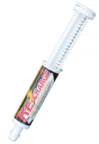 Formula of Champions SFI Re-Charge Paste