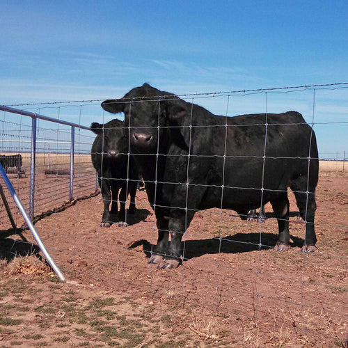 Stay Tuff Cattle-Tuff Fence