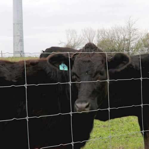 Stay Tuff Cattle-Tuff Fence