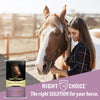 Kalmbach Right Choice Solutions 12 Textured Horse Feed